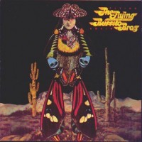 Purchase The Flying Burrito Brothers - Flying Again (Vinyl)