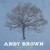 Purchase Andy Brown- False Alarm MP3