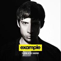 Purchase Example - Playing In The Shadows