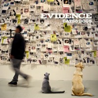 Purchase Evidence - Cats & Dogs