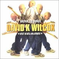 Purchase David Wilcox (Canada) - Rockin' The Boogie