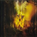 Buy Wisdom - At The Gates Mp3 Download
