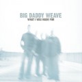 Buy Big Daddy Weave - What I Was Made For Mp3 Download