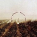 Buy T-Bone Burnett - Tooth Of Crime Mp3 Download