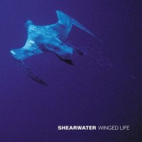 Purchase Shearwater - Winged Life