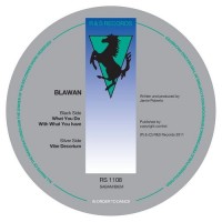 Purchase Blawan - What You Do With What You Have (CDS)