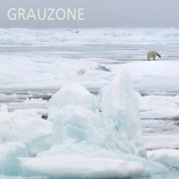 Purchase Grauzone - Grauzone 1980-1982 (Remastered) CD1