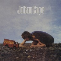 Purchase Julian Cope - Fried