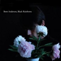 Purchase Brett Anderson - Black Rainbows