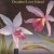 Buy Eumir Deodato - Love Island Mp3 Download