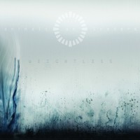 Purchase Animals As Leaders - Weightless