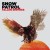 Buy Snow Patrol - Fallen Empires Mp3 Download