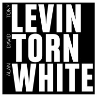 Purchase Levin Torn White - Levin Torn White