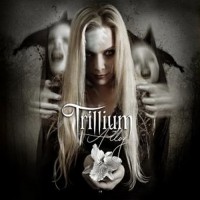Purchase Trillium - Alloy