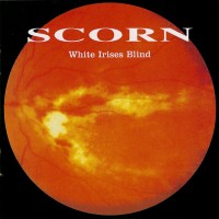 Purchase Scorn - White Irises Blind