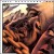 Buy Phil Manzanera - Listen Now Mp3 Download