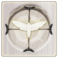 Purchase White Moth - White Moth