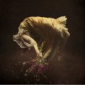 Buy Mint Julep - Save Your Season Mp3 Download