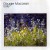Buy Dougie MacLean - Early Mp3 Download