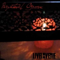 Purchase Perpetual Groove - LiveLoveDie