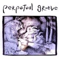 Purchase Perpetual Groove - Perpetual Groove