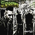 Buy The Brains - Drunk Not Dead Mp3 Download
