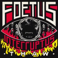 Purchase Foetus - Thaw