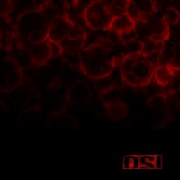 Purchase OSI - Blood (Special Edition) CD1
