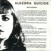 Purchase Algebra Suicide - Real Numbers