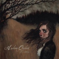 Purchase Ashcan Orchid - The Woods