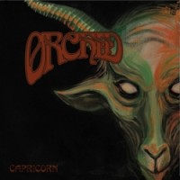 Purchase Orchid - Capricorn