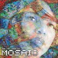 Buy Terri Lyne Carrington - The Mosaic Project Mp3 Download