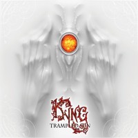 Purchase Kyng - Trampled Sun