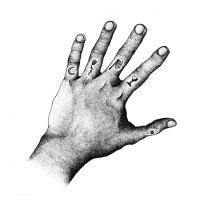 Purchase Circle Of Ouroborus - Eleven Fingers