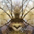 Buy Ut Gret - Radical Symmetry Mp3 Download