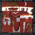 Buy Runrig - Amazing Things Mp3 Download