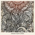 Buy Blaudzun - Heavy Flowers Mp3 Download