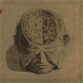 Buy Farsot - Insects Mp3 Download