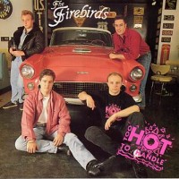 Purchase The Firebirds - Too Hot To Handle