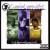 Buy Cunninlynguists - Southernunderground (Deluxe Edition) CD1 Mp3 Download
