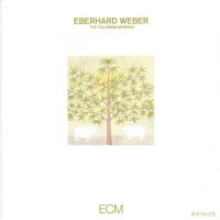 Purchase Eberhard Weber - The Following Morning