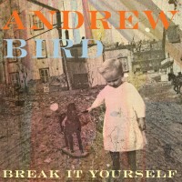 Purchase Andrew Bird - Break It Yourself