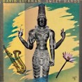 Buy David Liebman - Sweet Hands Mp3 Download