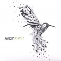 Purchase Mozez - So Still