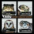 Buy The Four Owls - Nature's Greatest Mystery Mp3 Download