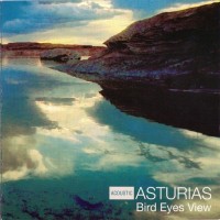 Purchase Asturias - Bird Eyes View