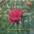 Buy Vince Guaraldi Trio - A Flower Is A Lovesome Thing Mp3 Download