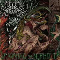 Purchase Lord Mantis - Spawning The Nephilim