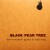 Buy Kaki King - Black Pear Tree (EP) Mp3 Download