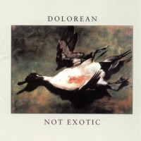 Purchase Dolorean - Not Exotic